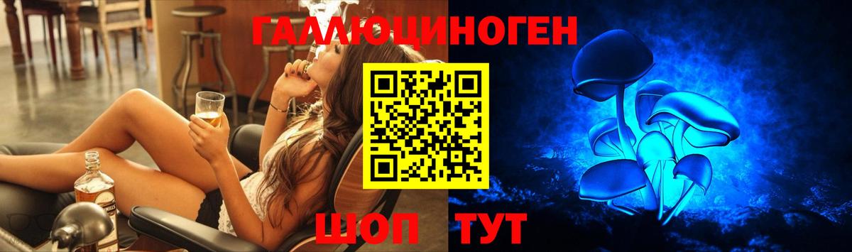 Галлюциногенные грибы Psilocybe  закладка  Красногорск  Вход с VPN 